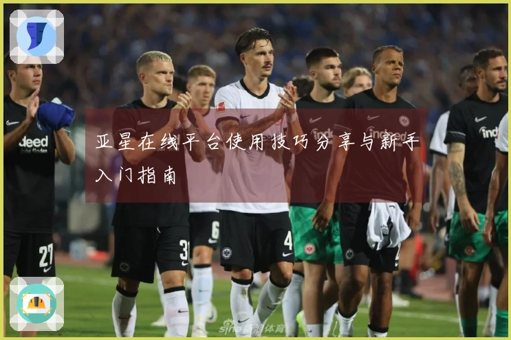 亚星在线平台使用技巧分享与新手入门指南