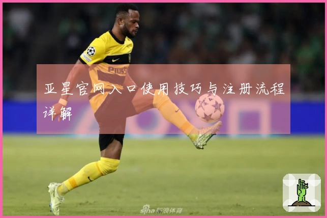 亚星官网入口使用技巧与注册流程详解