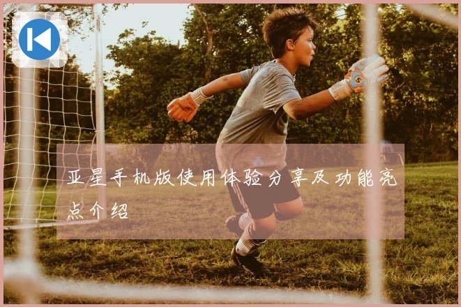 亚星手机版使用体验分享及功能亮点介绍